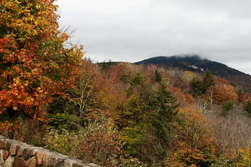 A mountainside covered in orange, red and green autumn trees under a cloudy sky, with a stone wall in the foreground