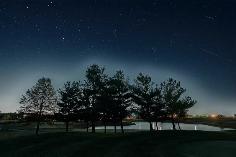 Several meteor streaks across a starry night sky above a row of dark pine trees and a pond