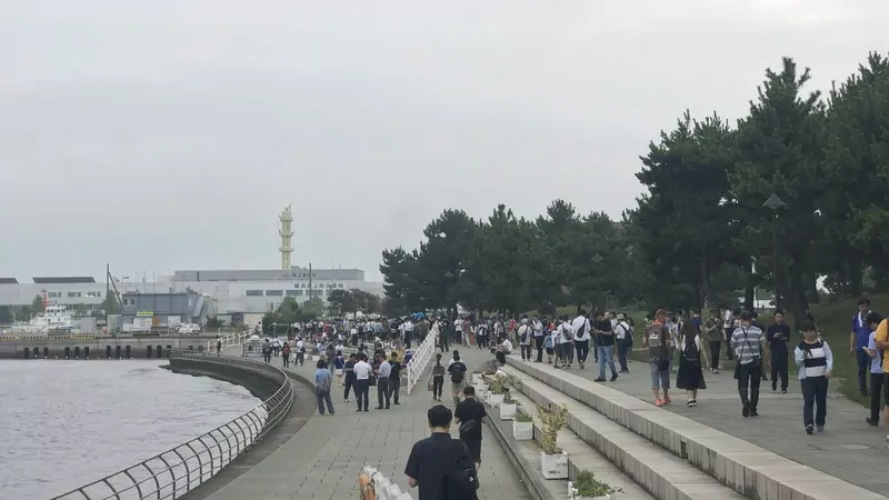 Crowds of Pokémon GO players walking along a seaside promenade lined with pine trees in Yokohama, under a grey sky