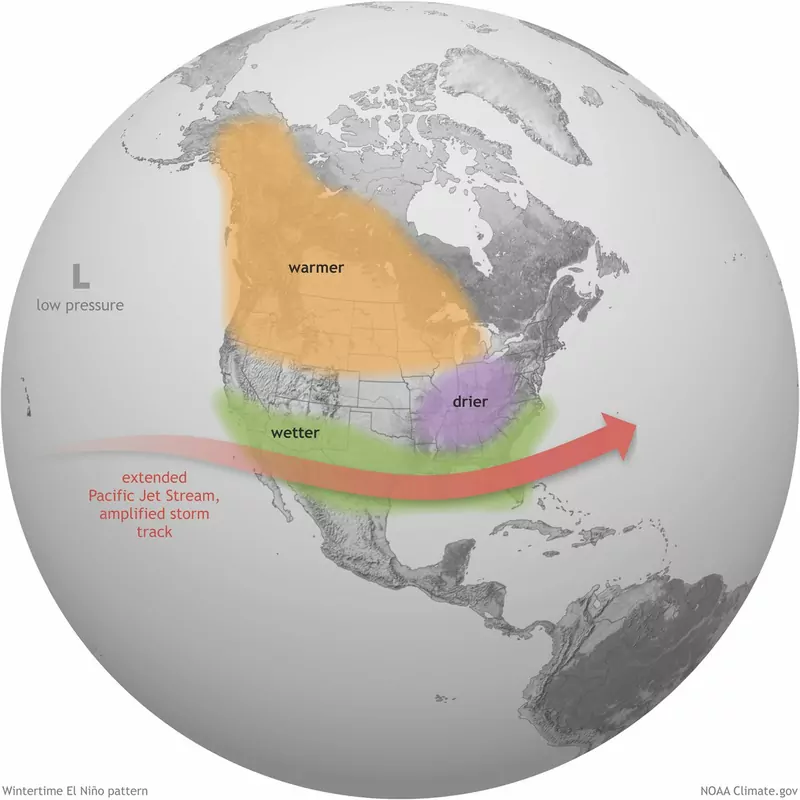 Globe centered on North America showing typical El Niño winter impacts: a warmer, drier northern tier, a wetter southern band under an amplified jet stream, and a drier Ohio Valley